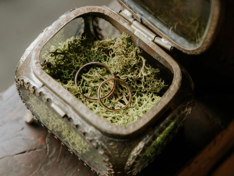 Hotel Palacio de las Nieves